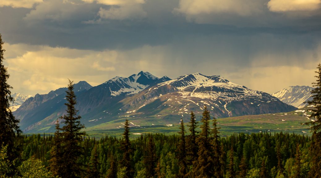 Denali View Point